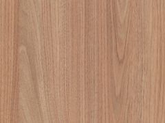 tasmanian oak